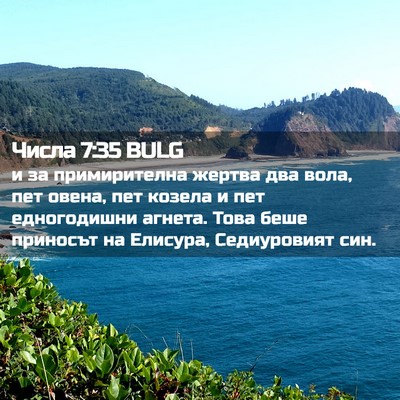 Picture 02 - Числа 7:35 BULG - и за примирителна жертва - Bible Verse Picture