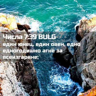 Picture 02 - Числа 7:39 BULG - един юнец, един овен, едно - Bible Verse Picture