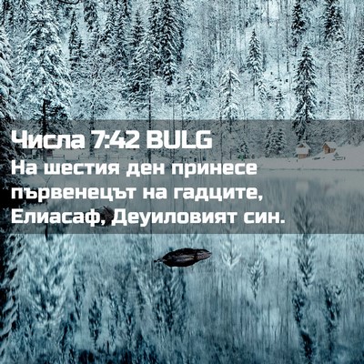 Picture 02 - Числа 7:42 BULG - На шестия ден принесе - Bible Verse Picture