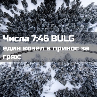 Picture 02 - Числа 7:46 BULG - един козел в принос за - Bible Verse Picture