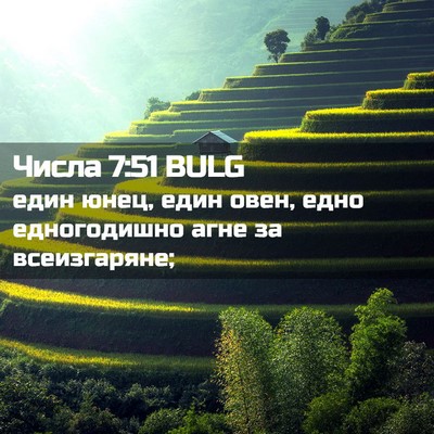 Picture 02 - Числа 7:51 BULG - един юнец, един овен, едно - Bible Verse Picture