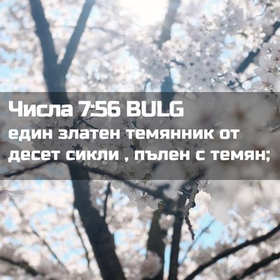 Picture 02 - Числа 7:56 BULG - един златен темянник от - Bible Verse Picture