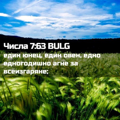 Picture 02 - Числа 7:63 BULG - един юнец, един овен, едно - Bible Verse Picture