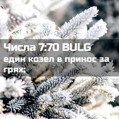 Picture 02 - Числа 7:70 BULG - един козел в принос за - Bible Verse Picture
