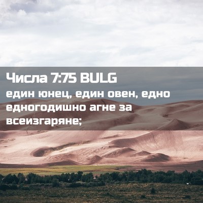 Picture 02 - Числа 7:75 BULG - един юнец, един овен, едно - Bible Verse Picture