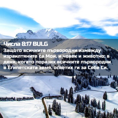 Picture 02 - Числа 8:17 BULG - Защото всичките - Bible Verse Picture