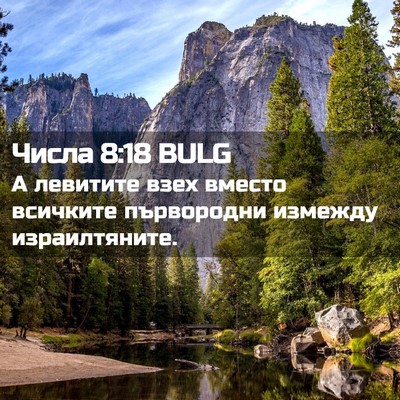 Picture 02 - Числа 8:18 BULG - А левитите взех вместо - Bible Verse Picture