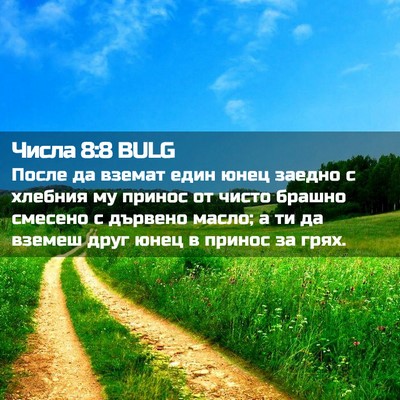 Picture 02 - Числа 8:8 BULG - После да вземат един юнец - Bible Verse Picture