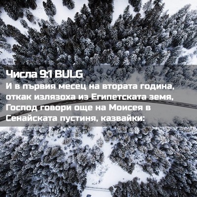 Picture 02 - Числа 9:1 BULG - И в първия месец на втората - Bible Verse Picture