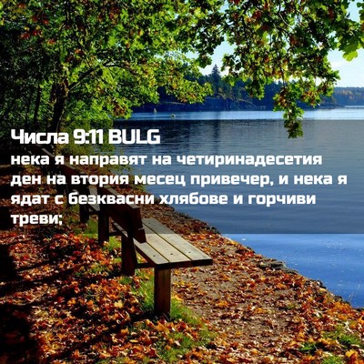 Picture 02 - Числа 9:11 BULG - нека я направят на - Bible Verse Picture