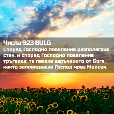 Picture 02 - Числа 9:23 BULG - Според Господно повеление - Bible Verse Picture