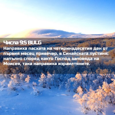 Picture 02 - Числа 9:5 BULG - Направиха пасхата на - Bible Verse Picture