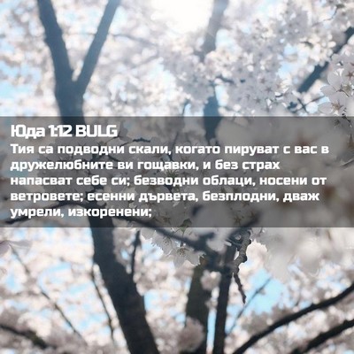 Picture 02 - Юда 1:12 BULG - Тия са подводни скали, - Bible Verse Picture
