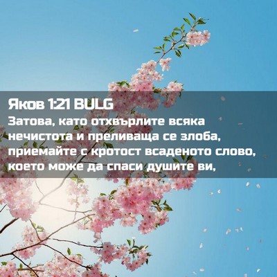 Picture 02 - Яков 1:21 BULG - Затова, като отхвърлите - Bible Verse Picture