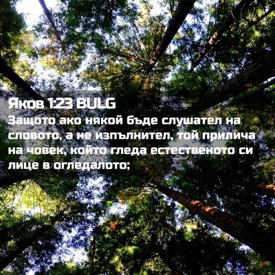 Picture 02 - Яков 1:23 BULG - Защото ако някой бъде - Bible Verse Picture
