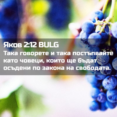 Picture 02 - Яков 2:12 BULG - Така говорете и така - Bible Verse Picture