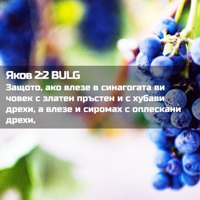 Picture 02 - Яков 2:2 BULG - Защото, ако влезе в - Bible Verse Picture