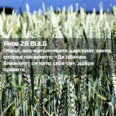 Picture 02 - Яков 2:8 BULG - Обаче, ако изпълнявате - Bible Verse Picture