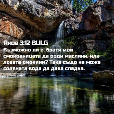 Picture 02 - Яков 3:12 BULG - Възможно ли е, братя мои - Bible Verse Picture