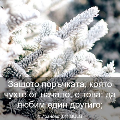 Picture 03 - 1 Йоаново 3:11 BULG - Защото поръчката, която - Bible Verse Picture