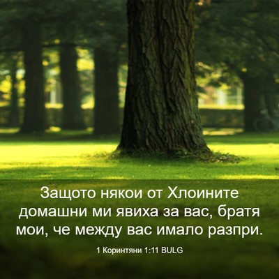 Picture 03 - 1 Коринтяни 1:11 BULG - Защото някои от Хлоините - Bible Verse Picture