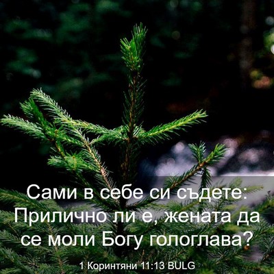 Picture 03 - 1 Коринтяни 11:13 BULG - Сами в себе си съдете: - Bible Verse Picture