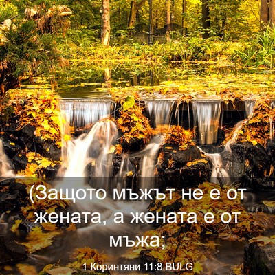 Picture 03 - 1 Коринтяни 11:8 BULG - (Защото мъжът не е от - Bible Verse Picture