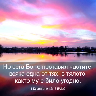 Picture 03 - 1 Коринтяни 12:18 BULG - Но сега Бог е поставил - Bible Verse Picture