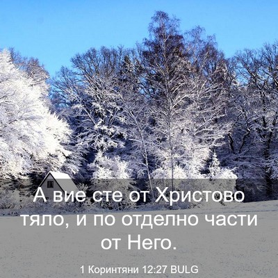 Picture 03 - 1 Коринтяни 12:27 BULG - А вие сте от Христово тяло, - Bible Verse Picture