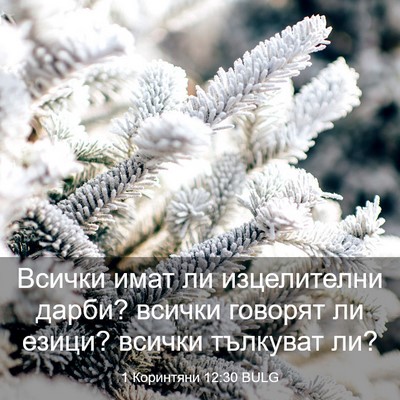 Picture 03 - 1 Коринтяни 12:30 BULG - Всички имат ли изцелителни - Bible Verse Picture