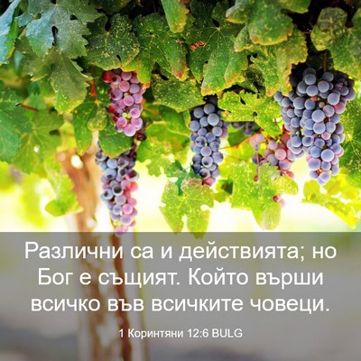 Picture 03 - 1 Коринтяни 12:6 BULG - Различни са и действията; - Bible Verse Picture