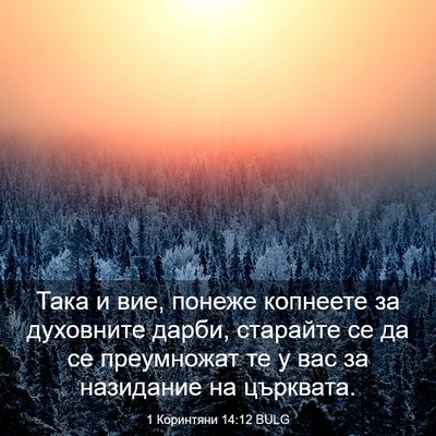 Picture 03 - 1 Коринтяни 14:12 BULG - Така и вие, понеже копнеете - Bible Verse Picture