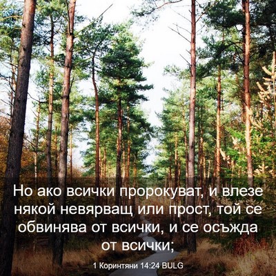 Picture 03 - 1 Коринтяни 14:24 BULG - Но ако всички пророкуват, и - Bible Verse Picture