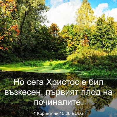 Picture 03 - 1 Коринтяни 15:20 BULG - Но сега Христос е бил - Bible Verse Picture