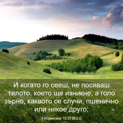 Picture 03 - 1 Коринтяни 15:37 BULG - И когато го сееш, не - Bible Verse Picture