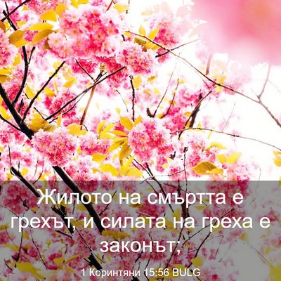 Picture 03 - 1 Коринтяни 15:56 BULG - Жилото на смъртта е грехът, - Bible Verse Picture
