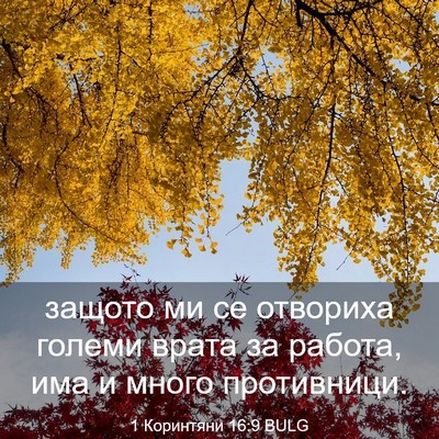 Picture 03 - 1 Коринтяни 16:9 BULG - защото ми се отвориха - Bible Verse Picture