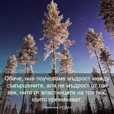 Picture 03 - 1 Коринтяни 2:6 BULG - Обаче, ние поучаваме - Bible Verse Picture