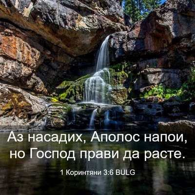 Picture 03 - 1 Коринтяни 3:6 BULG - Аз насадих, Аполос напои, - Bible Verse Picture