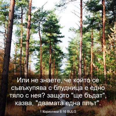 Picture 03 - 1 Коринтяни 6:16 BULG - Или не знаете, че който се - Bible Verse Picture