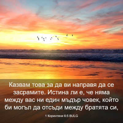 Picture 03 - 1 Коринтяни 6:5 BULG - Казвам това за да ви - Bible Verse Picture