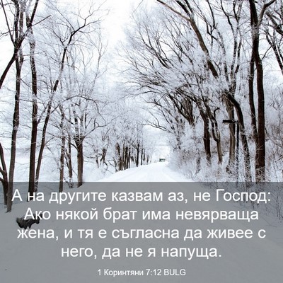 Picture 03 - 1 Коринтяни 7:12 BULG - А на другите казвам аз, не - Bible Verse Picture