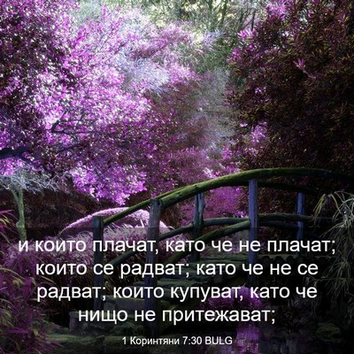 Picture 03 - 1 Коринтяни 7:30 BULG - и които плачат, като че не - Bible Verse Picture