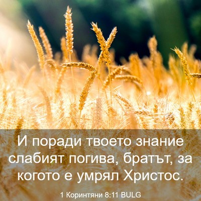 Picture 03 - 1 Коринтяни 8:11 BULG - И поради твоето знание - Bible Verse Picture