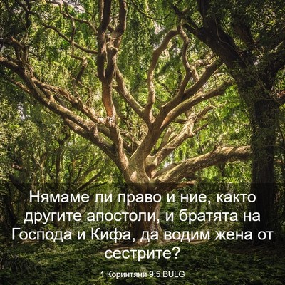 Picture 03 - 1 Коринтяни 9:5 BULG - Нямаме ли право и ние, - Bible Verse Picture
