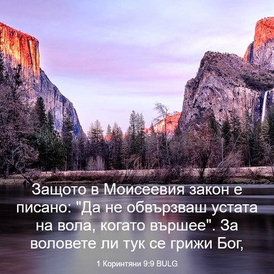 Picture 03 - 1 Коринтяни 9:9 BULG - Защото в Моисеевия закон е - Bible Verse Picture