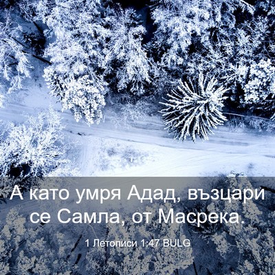 Picture 03 - 1 Летописи 1:47 BULG - А като умря Адад, възцари - Bible Verse Picture