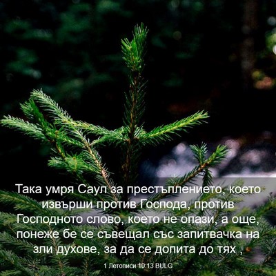 Picture 03 - 1 Летописи 10:13 BULG - Така умря Саул за - Bible Verse Picture