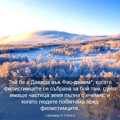 Picture 03 - 1 Летописи 11:13 BULG - Той бе с Давида във - Bible Verse Picture