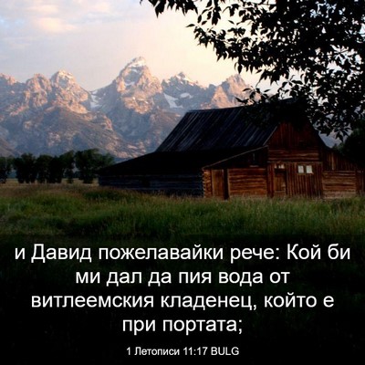 Picture 03 - 1 Летописи 11:17 BULG - и Давид пожелавайки рече: - Bible Verse Picture